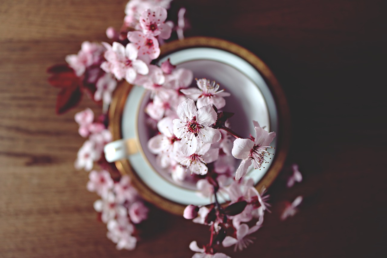 Cherry blossoms in a small vase.
