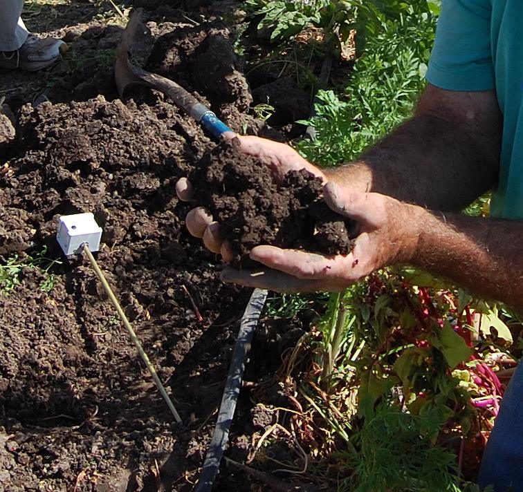 Closeup of churned soil with a person holding a handful of soil in their hands