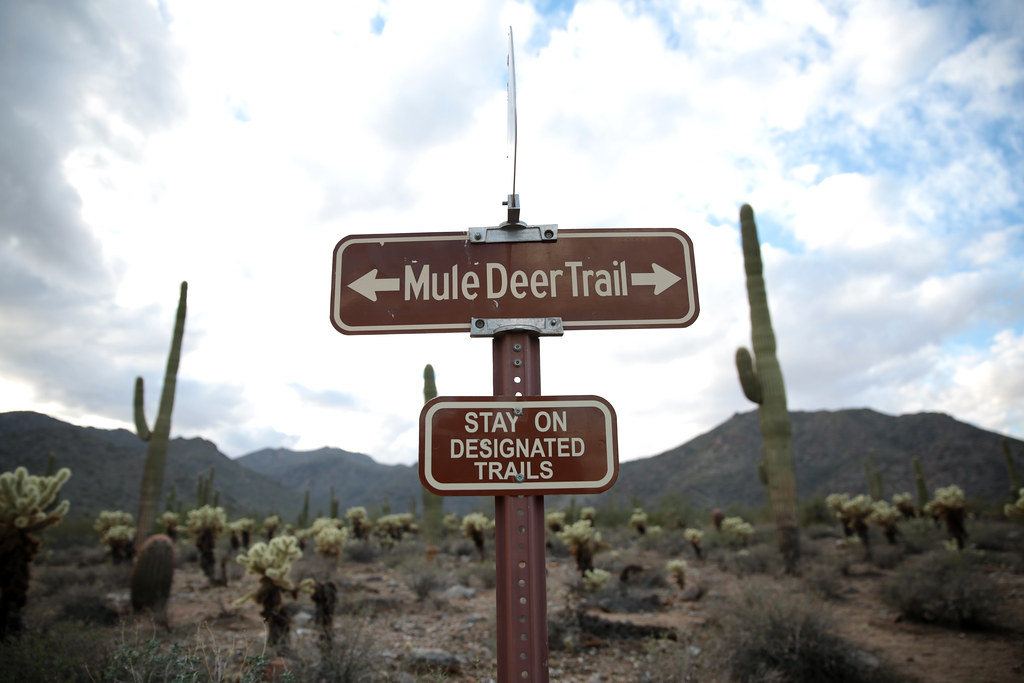 Mule Deer Trail Sign