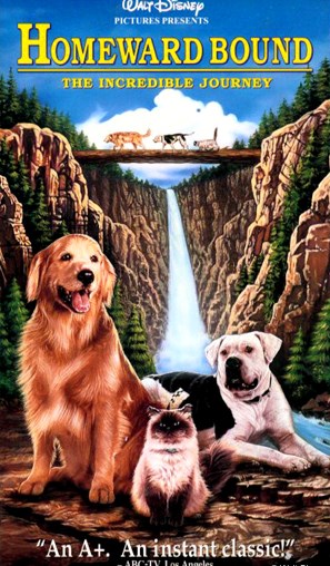 Cover image for movie "Homeward Bound"