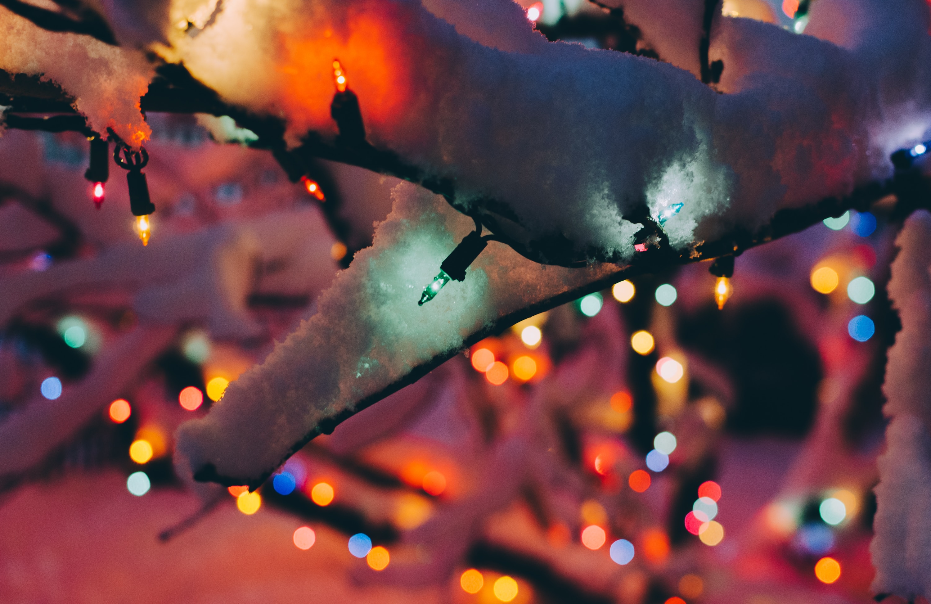 christmas lights on a tree