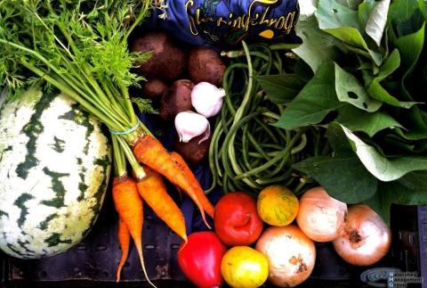 Closeup of vegetables