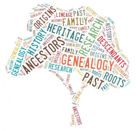 Genealogy tree