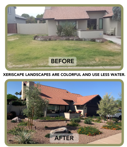 Before and After photo of a front yard going from grass to xeriscape