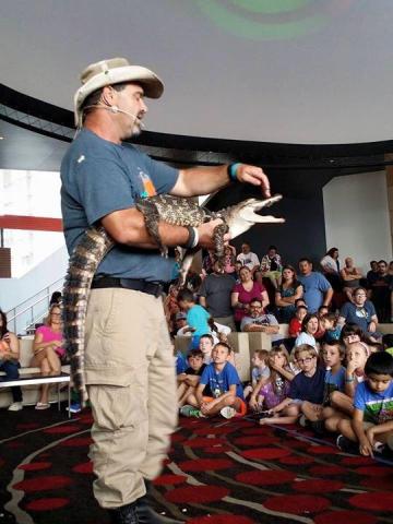 Wildlife performer Wildman Phil holds an alligator 