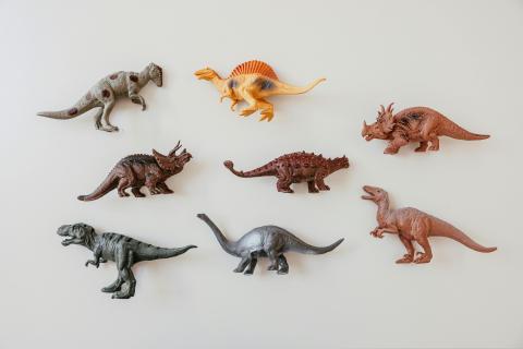 dinos