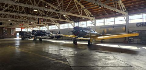 Falcon Airport Hangers