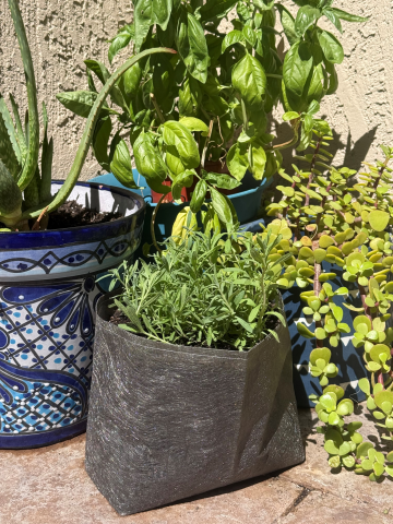 A sewn bag made out of landscape fabric with plants inside. This bag drains well and is great for growing new plants!