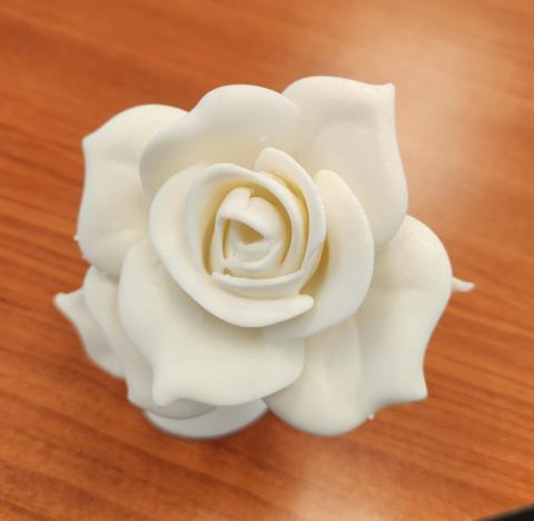3D Printed white rose with a red wood background