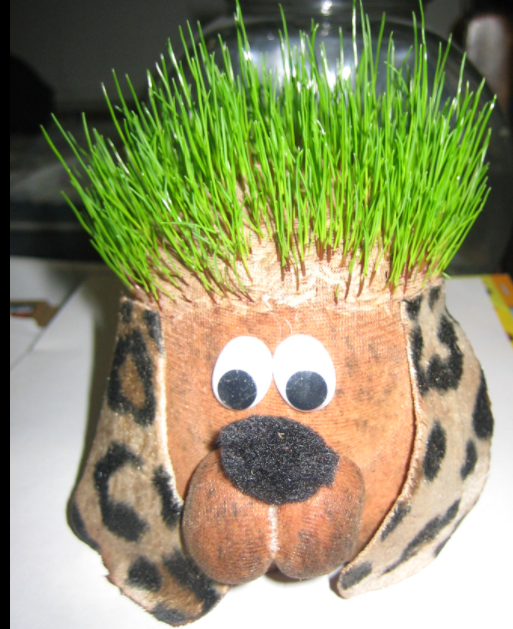 Chia Pet 