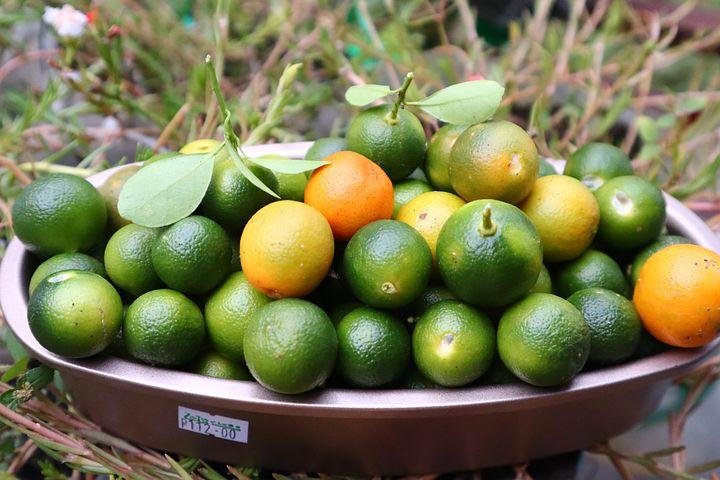 Citrus fruit