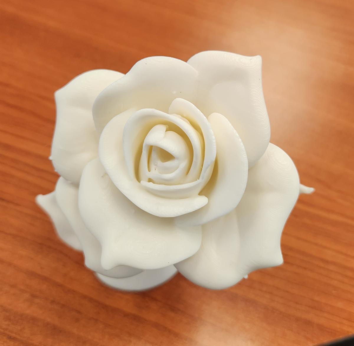 3D Printed white rose with a red wood background